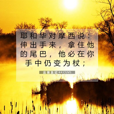 Picture 07 - 出 埃 及 记 4:4 CUVS - 耶 和 华 对 摩 西 说 ： 伸 出 手 来 - Bible Verse Picture