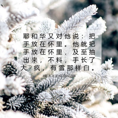 Picture 07 - 出 埃 及 记 4:6 CUVS - 耶 和 华 又 对 他 说 ： 把 手 放 在 - Bible Verse Picture