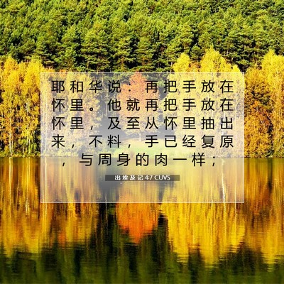 Picture 07 - 出 埃 及 记 4:7 CUVS - 耶 和 华 说 ： 再 把 手 放 在 怀 里 - Bible Verse Picture