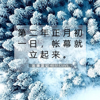 Picture 07 - 出 埃 及 记 40:17 CUVS - 第 二 年 正 月 初 一 日 ， 帐 幕 就 - Bible Verse Picture