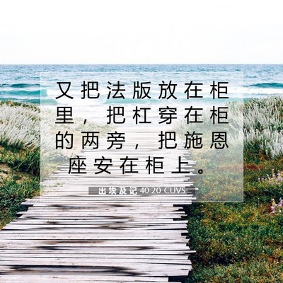 Picture 07 - 出 埃 及 记 40:20 CUVS - 又 把 法 版 放 在 柜 里 ， 把 杠 穿 - Bible Verse Picture
