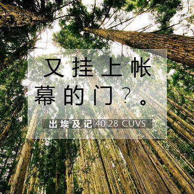 Picture 07 - 出 埃 及 记 40:28 CUVS - 又 挂 上 帐 幕 的 门 ? - Bible Verse Picture
