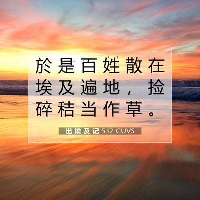 Picture 07 - 出 埃 及 记 5:12 CUVS - 於 是 百 姓 散 在 埃 及 遍 地 ， 捡 - Bible Verse Picture