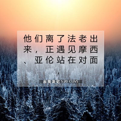 Picture 07 - 出 埃 及 记 5:20 CUVS - 他 们 离 了 法 老 出 来 ， 正 遇 见 - Bible Verse Picture