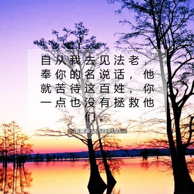 Picture 07 - 出 埃 及 记 5:23 CUVS - 自 从 我 去 见 法 老 ， 奉 你 的 名 - Bible Verse Picture