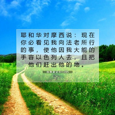 Picture 07 - 出 埃 及 记 6:1 CUVS - 耶 和 华 对 摩 西 说 ： 现 在 你 必 - Bible Verse Picture