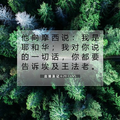 Picture 07 - 出 埃 及 记 6:29 CUVS - 他 向 摩 西 说 ： 我 是 耶 和 华 ； - Bible Verse Picture