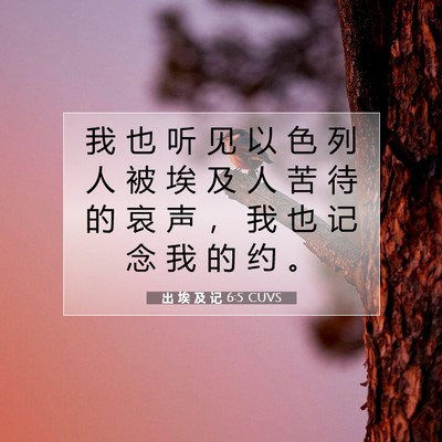 Picture 07 - 出 埃 及 记 6:5 CUVS - 我 也 听 见 以 色 列 人 被 埃 及 人 - Bible Verse Picture