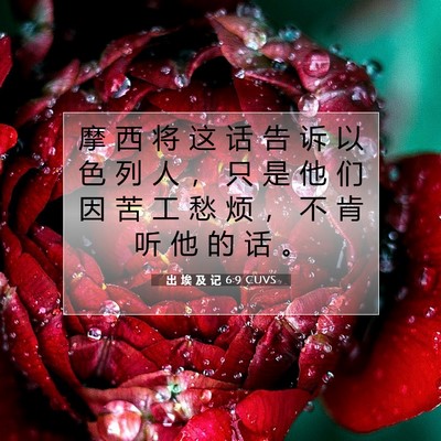 Picture 07 - 出 埃 及 记 6:9 CUVS - 摩 西 将 这 话 告 诉 以 色 列 人 ， - Bible Verse Picture