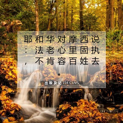 Picture 07 - 出 埃 及 记 7:14 CUVS - 耶 和 华 对 摩 西 说 ： 法 老 心 里 - Bible Verse Picture