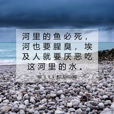 Picture 07 - 出 埃 及 记 7:18 CUVS - 河 里 的 鱼 必 死 ， 河 也 要 腥 臭 - Bible Verse Picture