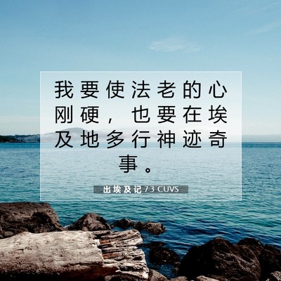 Picture 07 - 出 埃 及 记 7:3 CUVS - 我 要 使 法 老 的 心 刚 硬 ， 也 要 - Bible Verse Picture