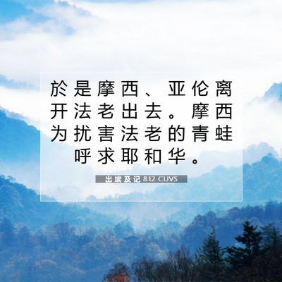 Picture 07 - 出 埃 及 记 8:12 CUVS - 於 是 摩 西 、 亚 伦 离 开 法 老 出 - Bible Verse Picture