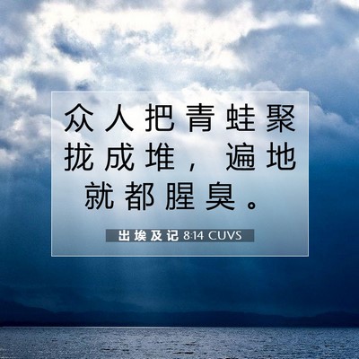 Picture 07 - 出 埃 及 记 8:14 CUVS - 众 人 把 青 蛙 聚 拢 成 堆 ， 遍 地 - Bible Verse Picture