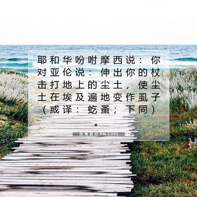 Picture 07 - 出 埃 及 记 8:16 CUVS - 耶 和 华 吩 咐 摩 西 说 ： 你 对 亚 - Bible Verse Picture