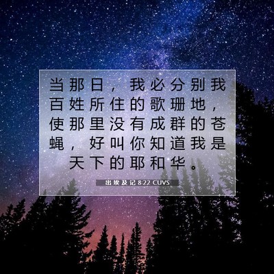 Picture 07 - 出 埃 及 记 8:22 CUVS - 当 那 日 ， 我 必 分 别 我 百 姓 所 - Bible Verse Picture
