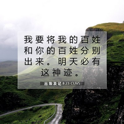 Picture 07 - 出 埃 及 记 8:23 CUVS - 我 要 将 我 的 百 姓 和 你 的 百 姓 - Bible Verse Picture