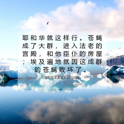 Picture 07 - 出 埃 及 记 8:24 CUVS - 耶 和 华 就 这 样 行 。 苍 蝇 成 了 - Bible Verse Picture