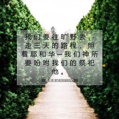 Picture 07 - 出 埃 及 记 8:27 CUVS - 我 们 要 往 旷 野 去 ， 走 三 天 的 - Bible Verse Picture