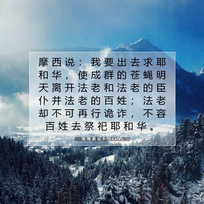 Picture 07 - 出 埃 及 记 8:29 CUVS - 摩 西 说 ： 我 要 出 去 求 耶 和 华 - Bible Verse Picture