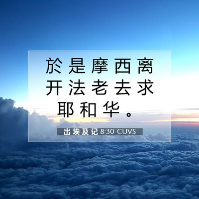 Picture 07 - 出 埃 及 记 8:30 CUVS - 於 是 摩 西 离 开 法 老 去 求 耶 和 - Bible Verse Picture