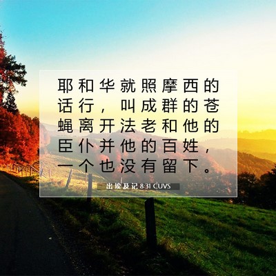 Picture 07 - 出 埃 及 记 8:31 CUVS - 耶 和 华 就 照 摩 西 的 话 行 ， 叫 - Bible Verse Picture