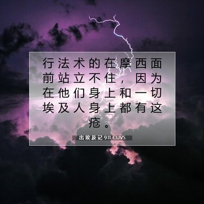 Picture 07 - 出 埃 及 记 9:11 CUVS - 行 法 术 的 在 摩 西 面 前 站 立 不 - Bible Verse Picture