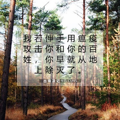 Picture 07 - 出 埃 及 记 9:15 CUVS - 我 若 伸 手 用 瘟 疫 攻 击 你 和 你 - Bible Verse Picture