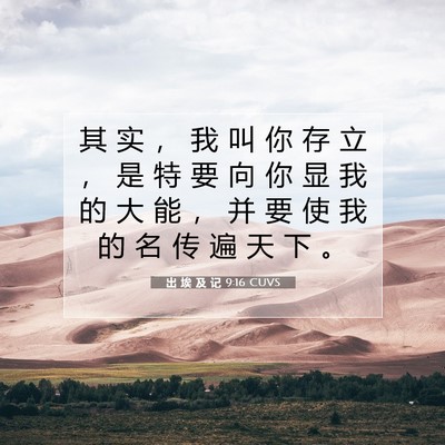 Picture 07 - 出 埃 及 记 9:16 CUVS - 其 实 ， 我 叫 你 存 立 ， 是 特 要 - Bible Verse Picture