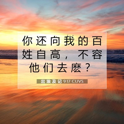 Picture 07 - 出 埃 及 记 9:17 CUVS - 你 还 向 我 的 百 姓 自 高 ， 不 容 - Bible Verse Picture