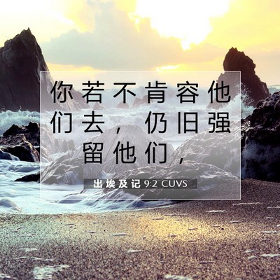 Picture 07 - 出 埃 及 记 9:2 CUVS - 你 若 不 肯 容 他 们 去 ， 仍 旧 强 - Bible Verse Picture