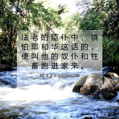 Picture 07 - 出 埃 及 记 9:20 CUVS - 法 老 的 臣 仆 中 ， 惧 怕 耶 和 华 - Bible Verse Picture