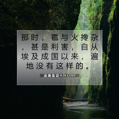 Picture 07 - 出 埃 及 记 9:24 CUVS - 那 时 ， 雹 与 火 搀 杂 ， 甚 是 利 - Bible Verse Picture