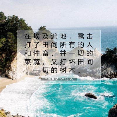 Picture 07 - 出 埃 及 记 9:25 CUVS - 在 埃 及 遍 地 ， 雹 击 打 了 田 间 - Bible Verse Picture
