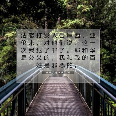 Picture 07 - 出 埃 及 记 9:27 CUVS - 法 老 打 发 人 召 摩 西 、 亚 伦 来 - Bible Verse Picture