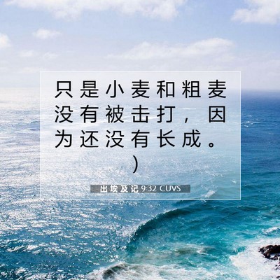 Picture 07 - 出 埃 及 记 9:32 CUVS - 只 是 小 麦 和 粗 麦 没 有 被 击 打 - Bible Verse Picture