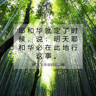 Picture 07 - 出 埃 及 记 9:5 CUVS - 耶 和 华 就 定 了 时 候 ， 说 ： 明 - Bible Verse Picture