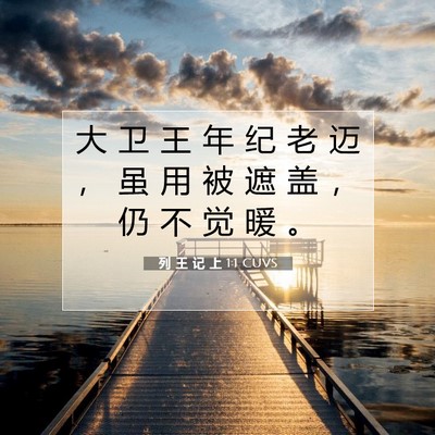 Picture 07 - 列 王 记 上 1:1 CUVS - 大 卫 王 年 纪 老 迈 ， 虽 用 被 遮 - Bible Verse Picture