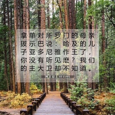 Picture 07 - 列 王 记 上 1:11 CUVS - 拿 单 对 所 罗 门 的 母 亲 拔 示 巴 - Bible Verse Picture