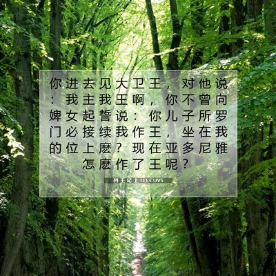 Picture 07 - 列 王 记 上 1:13 CUVS - 你 进 去 见 大 卫 王 ， 对 他 说 ： - Bible Verse Picture