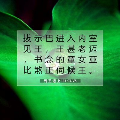 Picture 07 - 列 王 记 上 1:15 CUVS - 拔 示 巴 进 入 内 室 见 王 ， 王 甚 - Bible Verse Picture