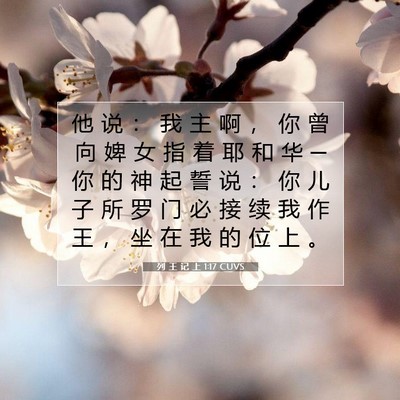 Picture 07 - 列 王 记 上 1:17 CUVS - 他 说 ： 我 主 啊 ， 你 曾 向 婢 女 - Bible Verse Picture