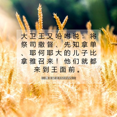 Picture 07 - 列 王 记 上 1:32 CUVS - 大 卫 王 又 吩 咐 说 ： 将 祭 司 撒 - Bible Verse Picture