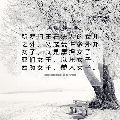 Picture 07 - 列 王 记 上 11:1 CUVS - 所 罗 门 王 在 法 老 的 女 儿 之 外 - Bible Verse Picture