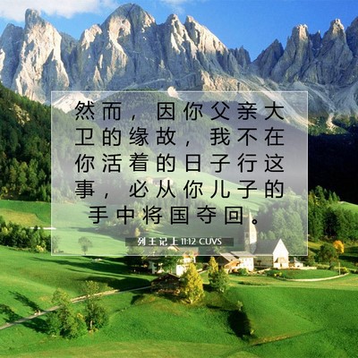 Picture 07 - 列 王 记 上 11:12 CUVS - 然 而 ， 因 你 父 亲 大 卫 的 缘 故 - Bible Verse Picture