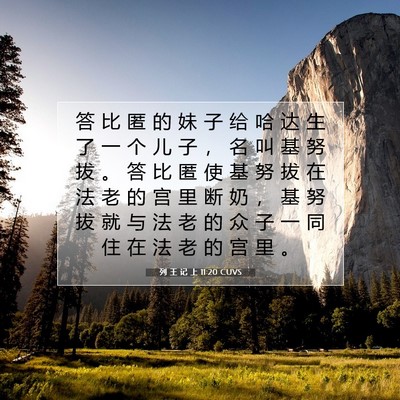 Picture 07 - 列 王 记 上 11:20 CUVS - 答 比 匿 的 妹 子 给 哈 达 生 了 一 - Bible Verse Picture