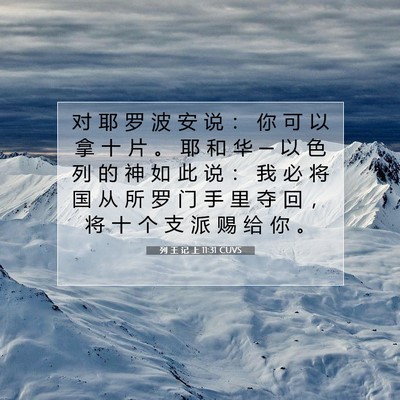 Picture 07 - 列 王 记 上 11:31 CUVS - 对 耶 罗 波 安 说 ： 你 可 以 拿 十 - Bible Verse Picture