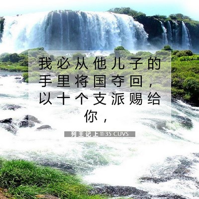 Picture 07 - 列 王 记 上 11:35 CUVS - 我 必 从 他 儿 子 的 手 里 将 国 夺 - Bible Verse Picture