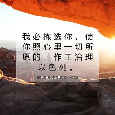 Picture 07 - 列 王 记 上 11:37 CUVS - 我 必 拣 选 你 ， 使 你 照 心 里 一 - Bible Verse Picture