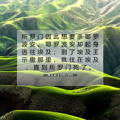 Picture 07 - 列 王 记 上 11:40 CUVS - 所 罗 门 因 此 想 要 杀 耶 罗 波 安 - Bible Verse Picture